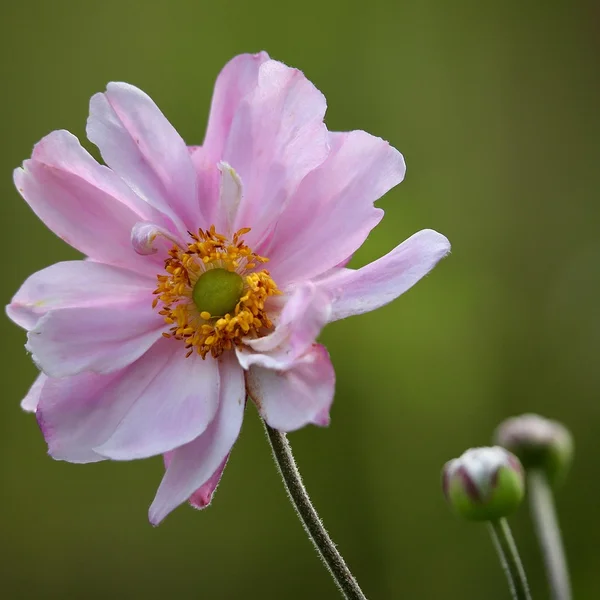 博彩论坛捕鱼游戏